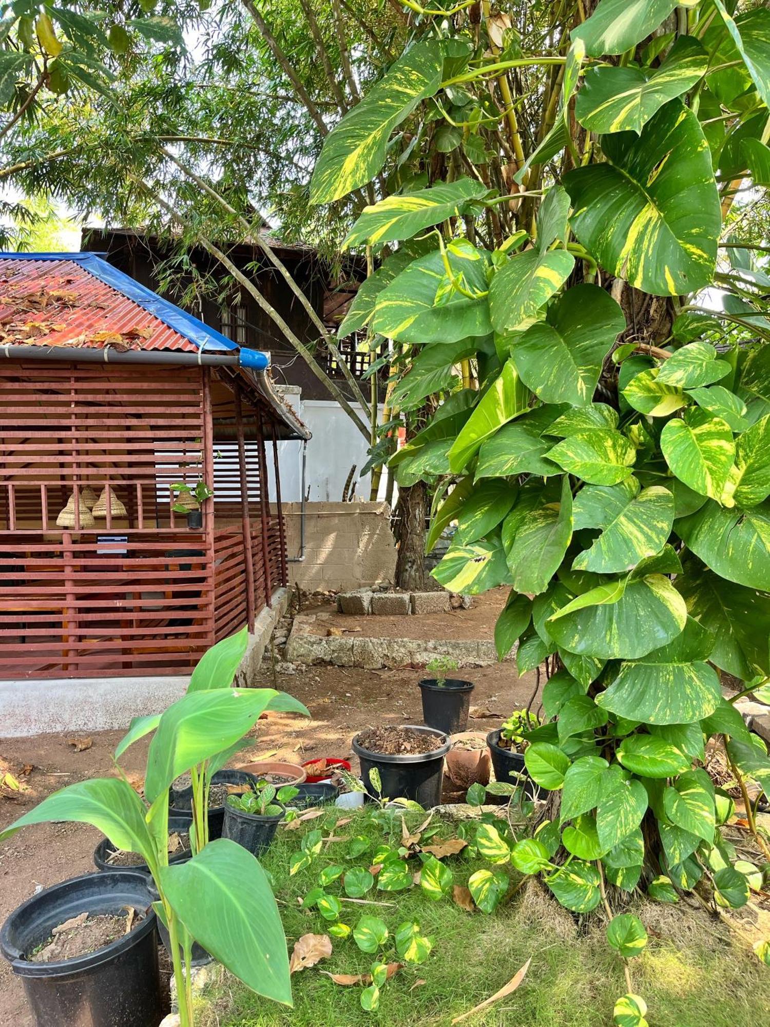 Bava Beach Resort & Retreat Center Варкала Екстериор снимка